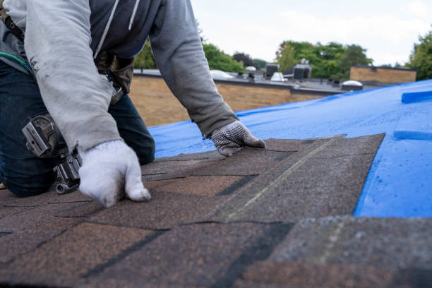 Best Storm Damage Roof Repair  in Meadow Oaks, FL