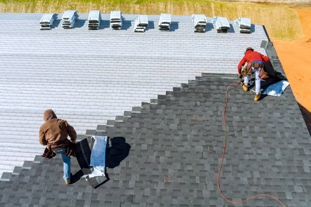 Best Storm Damage Roof Repair  in Meadow Oaks, FL