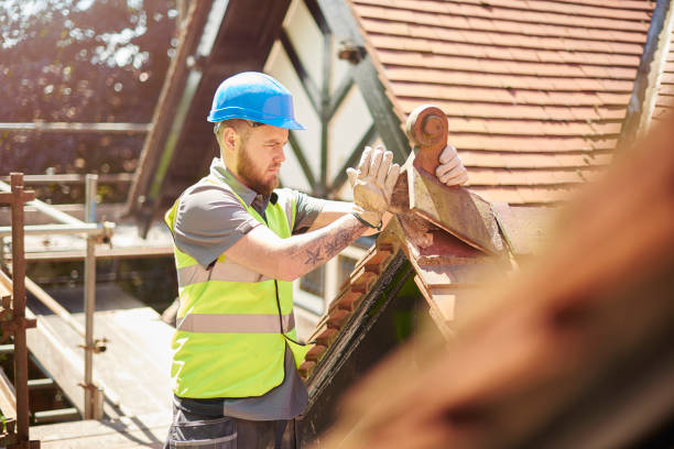 Best Metal Roofing Contractor  in Meadow Oaks, FL